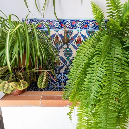 別荘 La Casa Del Agua *